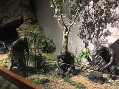 -北京周口店北京人遗址博物馆