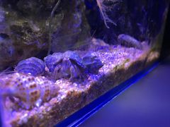 -齐海鱼圣深海石斑鱼火锅店(极地海洋世界店)