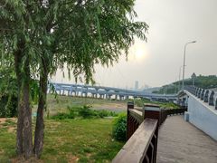 -星海湾跨海大桥