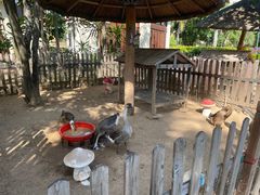 -三亚海棠湾万丽度假酒店