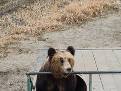 -宿豫区运河湾森林动物园