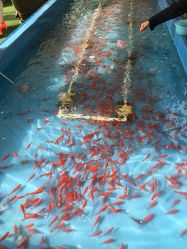 -萌宠亲子动物乐园(槐房万达店)