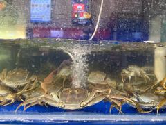-阳澄湖大闸蟹·琼灵阁牌品牌连锁(吴中总店)