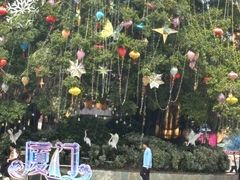 -厦门园林博览苑