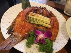 -紫滇源云南生态菜(丹凤街店)