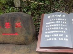 -茅兰沟国家森林公园