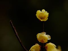 -颐和园