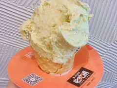 -野人先生现做冰淇淋(北京环宇荟店)