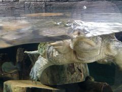 android_upload_pic-河川生态园