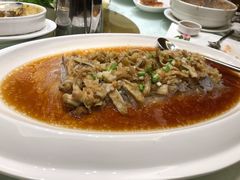 大竹蛏-金时代顺风大酒店(临港百联店)