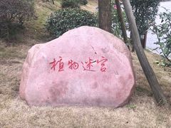 -枫香湖儿童公园
