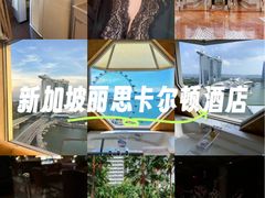-新加坡丽思卡尔顿美年酒店
