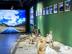 -南宫五洲植物乐园