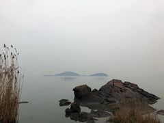-上海市保健医疗中心(华东疗养院)