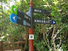 -梅沙尖