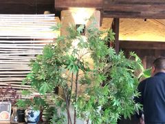 -灶丰年间(定安路店)