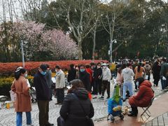 -人民公园-相亲角