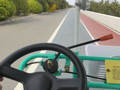 -日照海滨国家森林公园