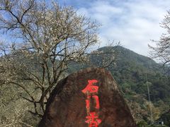 -广州市石门国家森林公园