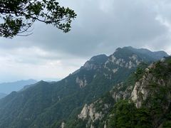 -王顺山国家森林公园