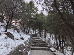 -北京西山国家森林公园