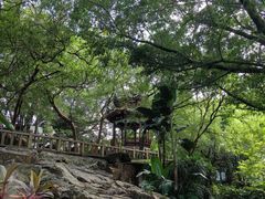 -乌山风景区