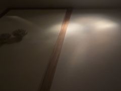 -Dragonfly悠庭·按摩Spa(静安嘉里中心店)