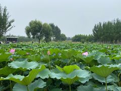 -渔岛海洋度假区