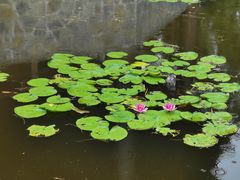 -荔江湾景区