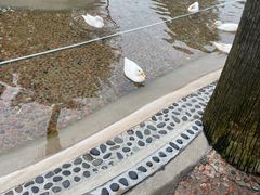 -珠海海泉湾神秘岛亲子乐园