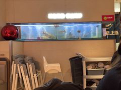 -老板恋上鱼(恒隆广场店)