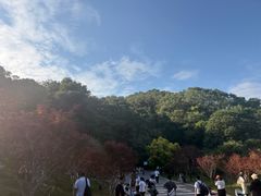 -广州市帽峰山景区