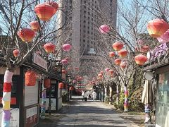 -回龙窝历史文化街区