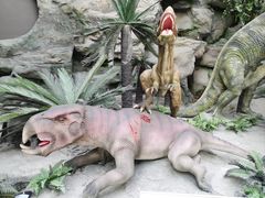 -国家自然博物馆