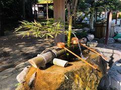 -水前寺成趣园