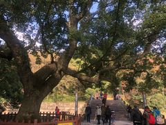 -普陀山风景名胜区-法雨禅寺