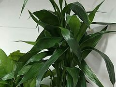 -要德火锅(鼓楼店)