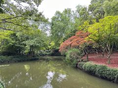 -秋霞圃