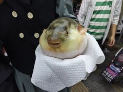 -永安鱼庄·镇江菜(东吴路店)