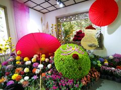 -杭州植物园