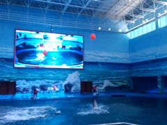 -多彩贵州城极地海洋世界