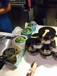 -朵莉丝希腊冻酸奶