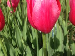 -长春公园(普阳街道)