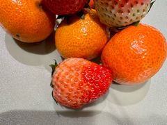 -青玉案·生日宴·纪念日·家宴主题餐厅(太湖西路店)