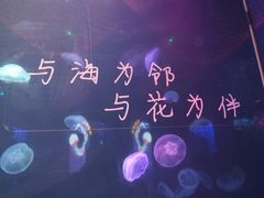 -南昌融创海世界