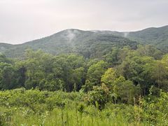 -西双版纳基诺山寨