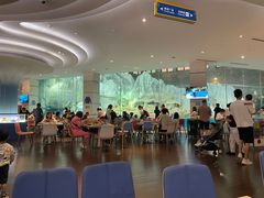 -帝企鹅自助餐厅•儿童岛•真企鹅(长隆企鹅酒店)