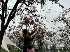 -秦岭风景区