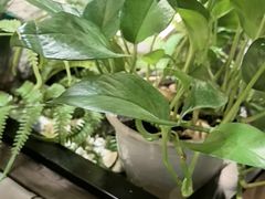 -贡宴盐帮菜自贡驻京联络处餐厅