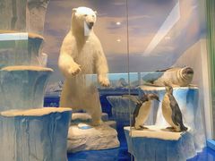 -国家自然博物馆